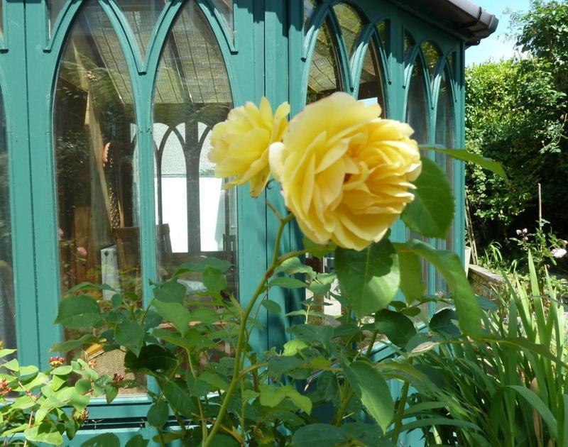 Fairholme Villa Port Isaac Ngoại thất bức ảnh